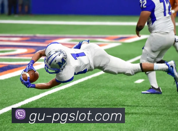 森林舞会官网发展历程